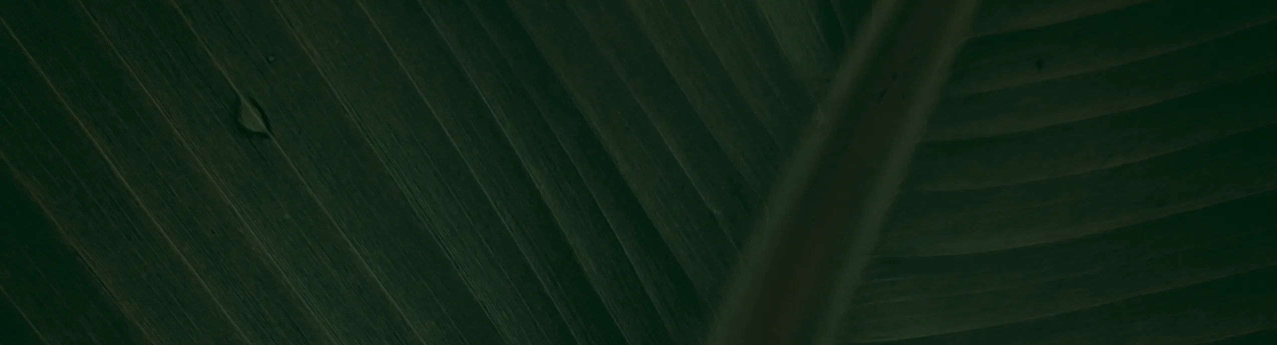 hero-image_optimized Balconera Doble