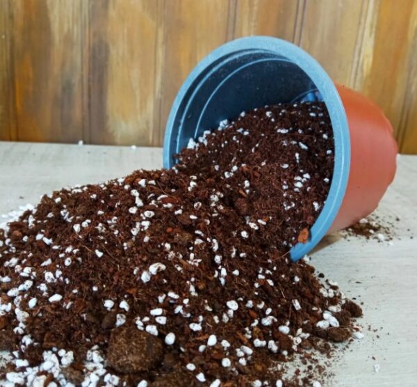 sustrato-premium sustrato-premium